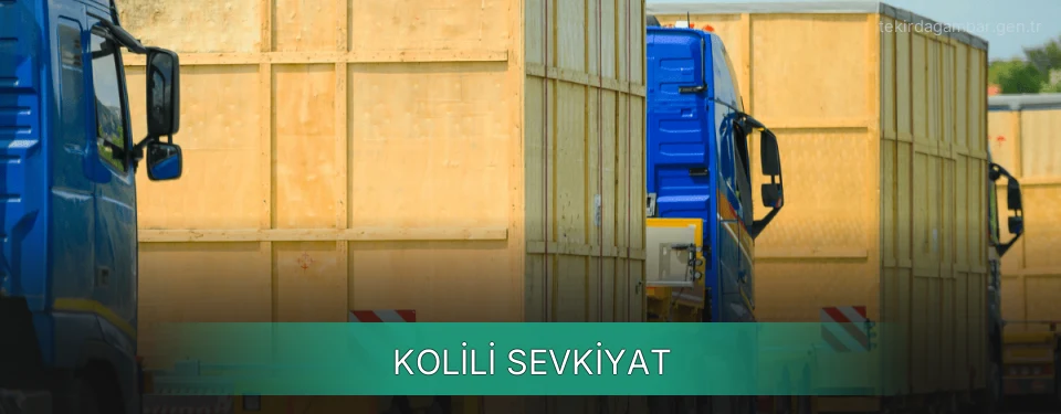 Tekirdağ Kolili Sevkiyat Ambar Firmaları