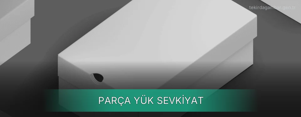 Tekirdağ Parça Yük Ambar Firmaları